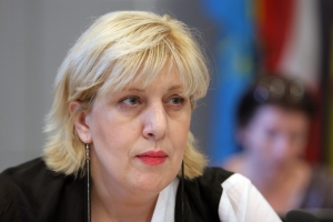 OSCE representative is concerned over attacks agains media in Luhansk and Crimea