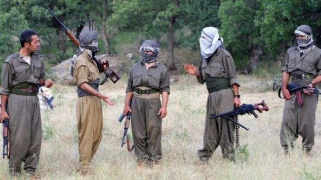 Turkish sources: PKK kidnapped 10 children