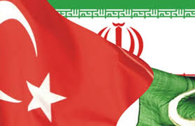 Ирано-турецкие отношения с оглядкой на “Турецкий поток”