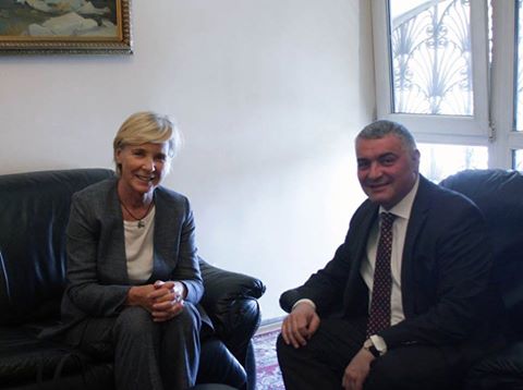 Deputy Foreign Minister of RA Ashot Hovakimian meets with UN Special Rapporteur