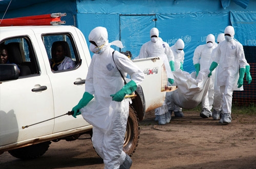 ВОЗ: число заразившихся вирусом Эбола в Западной Африке превысило 27 тысяч человек