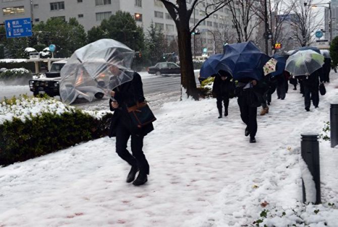 Ճապոնիայում յոթ մարդ է մահացել սաստիկ ձնատեղումներից հետո