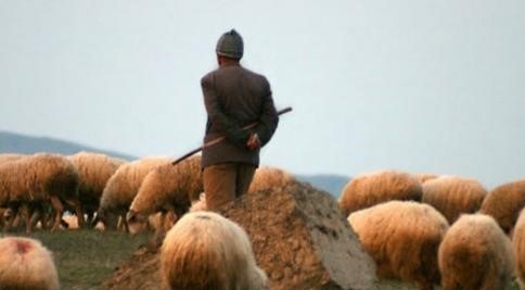 В связи с убийством российского посла задержан турецкий пастух