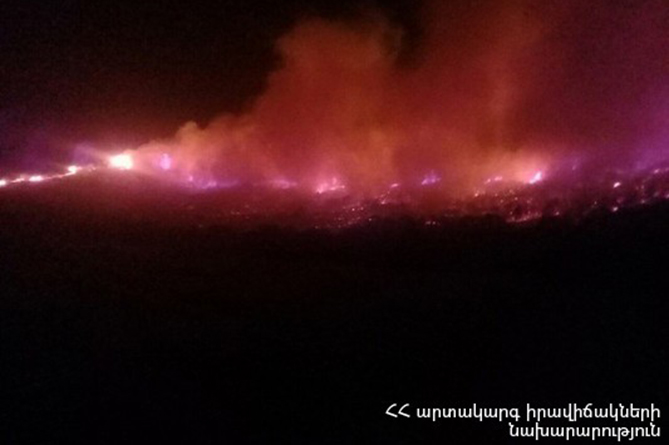 Мощный лесной пожар вспыхнул на юге Армении