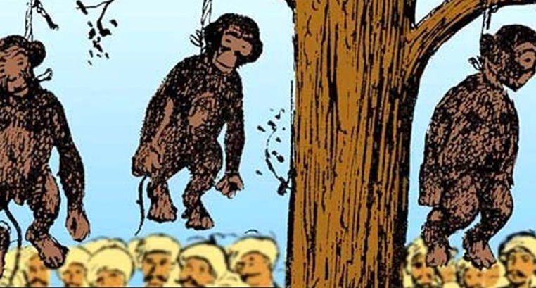 СМИ рассказали, как в Турции муллы массово вешали «похабных» обезьян