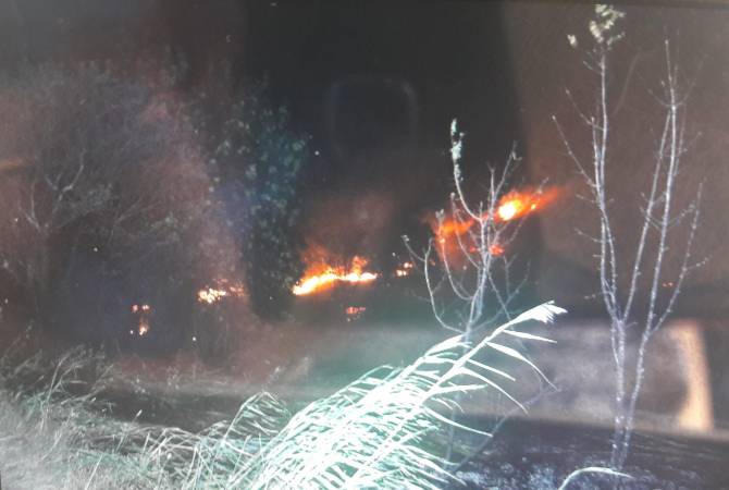 Վայոց Ձորում այրվում է 230 հա անտառային և խոտածածկ տարածք. պայքարը հրդեհի դեմ շարունակվում է
