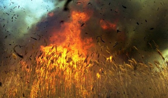 В Армениии вспыхнул третий за неделю лесной пожар