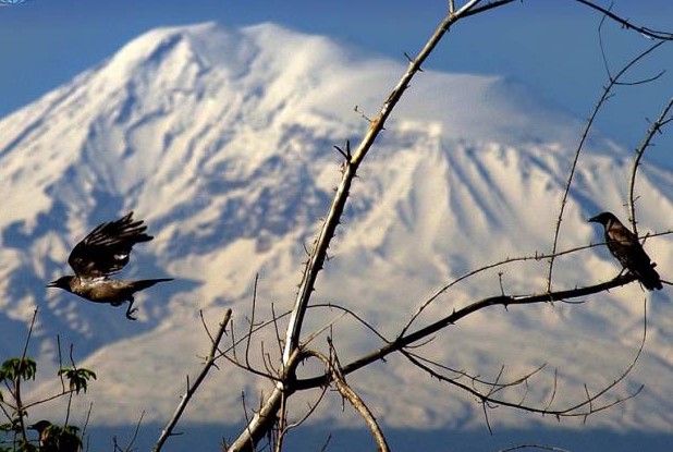 Հայաստանում հունվարի 31-ից  օդի ջերմաստիճանն աստիճանաբար կբարձրանա