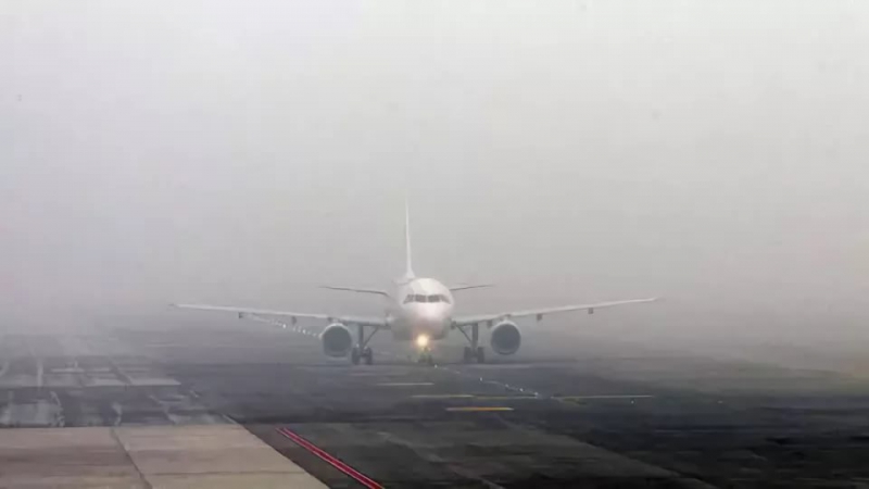 Пассажирский самолет рейса Ереван-Саратов совершил экстренную посадку в Москве