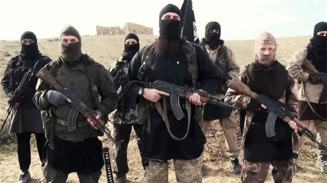 «Исламское государство» готовит масштабное наступление на позиции САР: Al-Masdar News