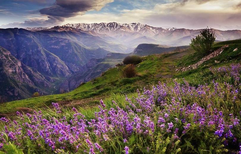 В Ереване рассказали о потенциале для развития экотуризма в Армении
