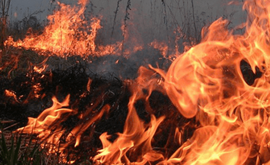 На участках с травяным покровом в Гегаркуникской области вспыхнули пожары