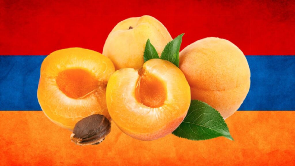 «Они самые замечательные, самые душистые»: Россияне об армянских абрикосах