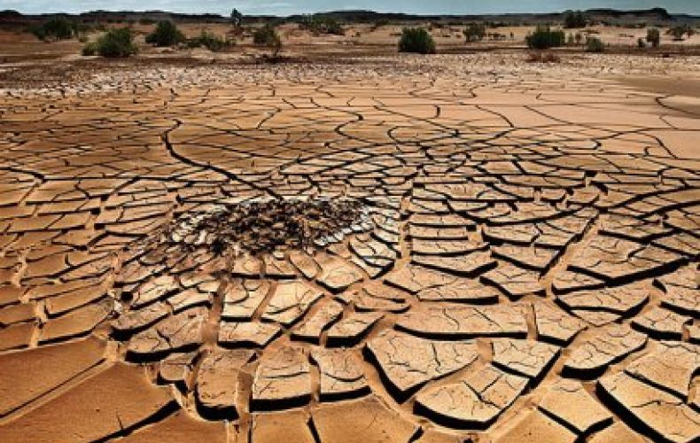 Около 47 процентов земель Турции находятся под угрозой опустынивания
