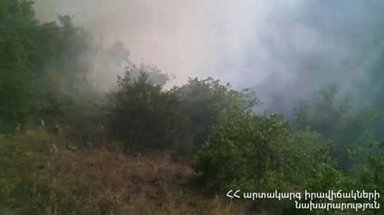Работы по тушению пожара в лесу в Сюникской области Армении прекращены