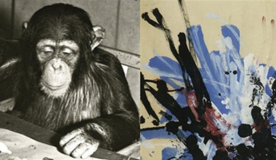 Կոնգո, շիմպանզե և նկարիչ (Տեսանյութ)