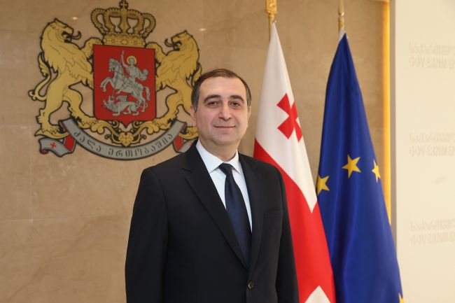 Гахария назначил нового министра образования, науки и культуры Грузии