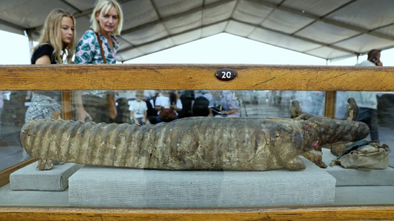 Եգիպտոսում հայտնաբերել են կենդանիների մումիաներով և հնագույն հուշարձաններով «ամբողջական թանգարան»