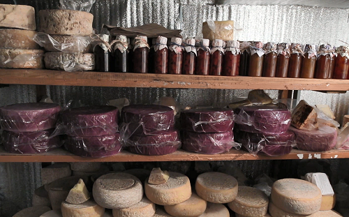 «Հարբած» պանիրներ. նոր ճյուղ հայկական բիզնեսում (Տեսանյութ)