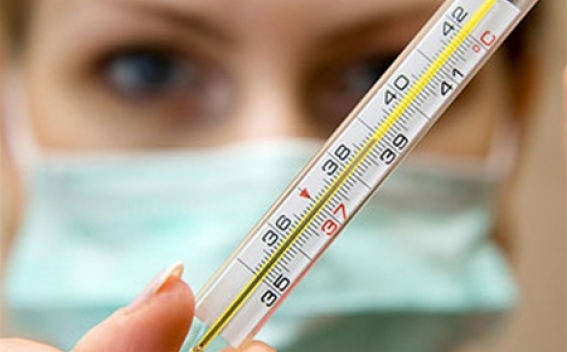 Հայաստանում դեռ շրջանառվում են գրիպի Ա H1N1 եւ Բ տեսակը