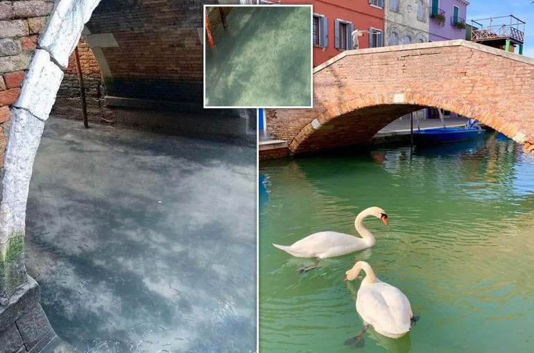 Կարանտինի արդյունքում Վենետիկի ջրանցքներն ամբողջովին մաքրվել են (լուսանկարներ)