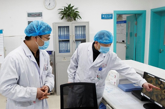 Չինացի գիտնականները գտել են կորոնավիրուսը բուժելու նոր միջոց: Gazeta.ru