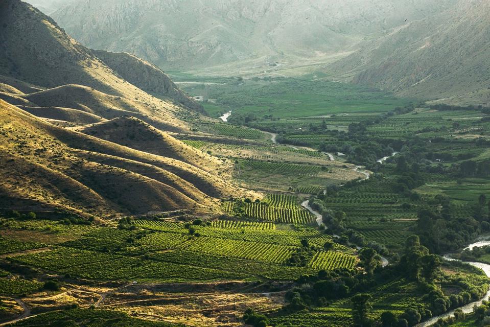 Համո Սահյան. Անձրև