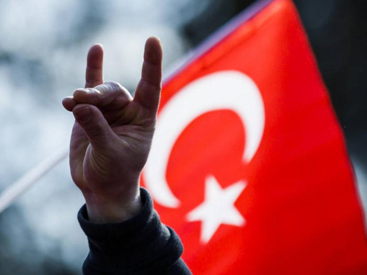 ԵԽ-ն պատրաստվում է թուրքական «Գորշ գայլերի» շարժումը ներառել ահաբեկչական խմբերի ցանկում