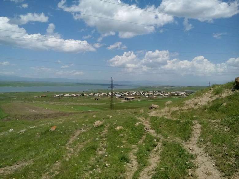 Բժիշկները տնետուն են գնում, հավաքում մորթած միսն ու հրկիզում. «սիբիրյան խոցը» գյուղում աժիոտաժ է առաջացրել
