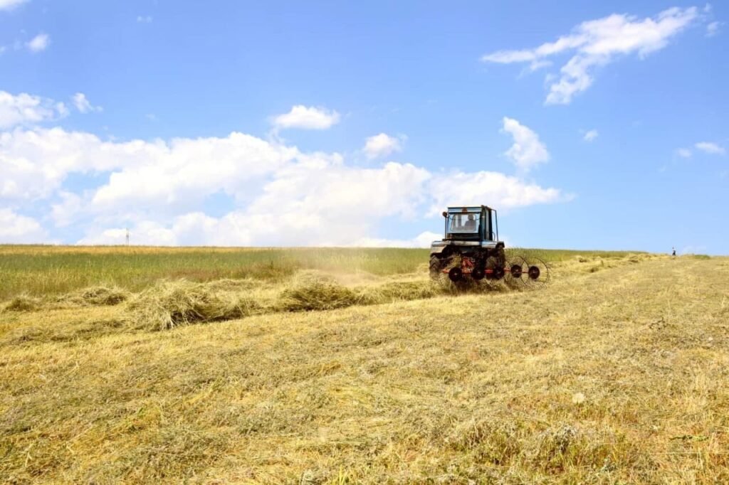 Գորիսի արոտավայրերի, ցանքատարածությունների շուրջ 31 տոկոսը թշնամու վերահսկողության տակ է