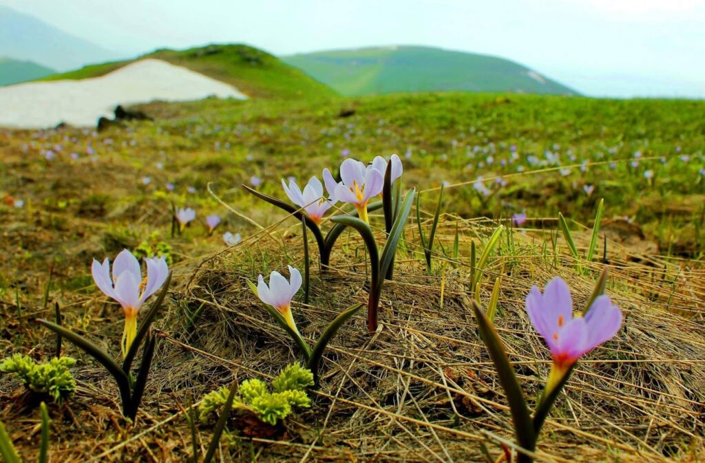 Ջերմաստիճանը կբարձրանա 7-10 աստիճանով