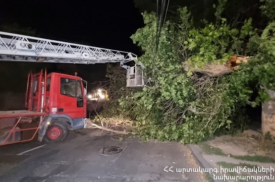 Երևանում քամու հետևանքով կոտրվել են ծառեր, վնասվել շինություններ, մեքենաներ