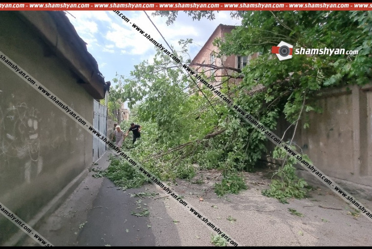 Երևանում հաստաբուն ծառից մի հատված պոկվել և վնասել է գազախողովակներն ու էլեկտրալարերը