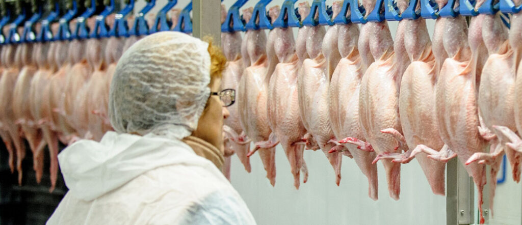 Հայաստանում սննդային թունավորումների հիմնական պատճառը հավի միսն է․ ՍԱՏՄ