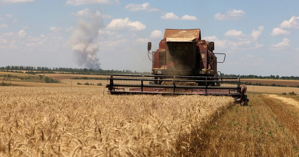 ԵՄ-ն հայտարարել է, որ ՌԴ-ից հացահատիկի ներմուծման սահմանափակումները չեն ազդի գների վրա