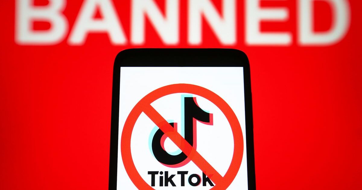 TikTok սոցիալական ցանցը հնարավոր է արգելափակվի նաև ԵՄ-ում
