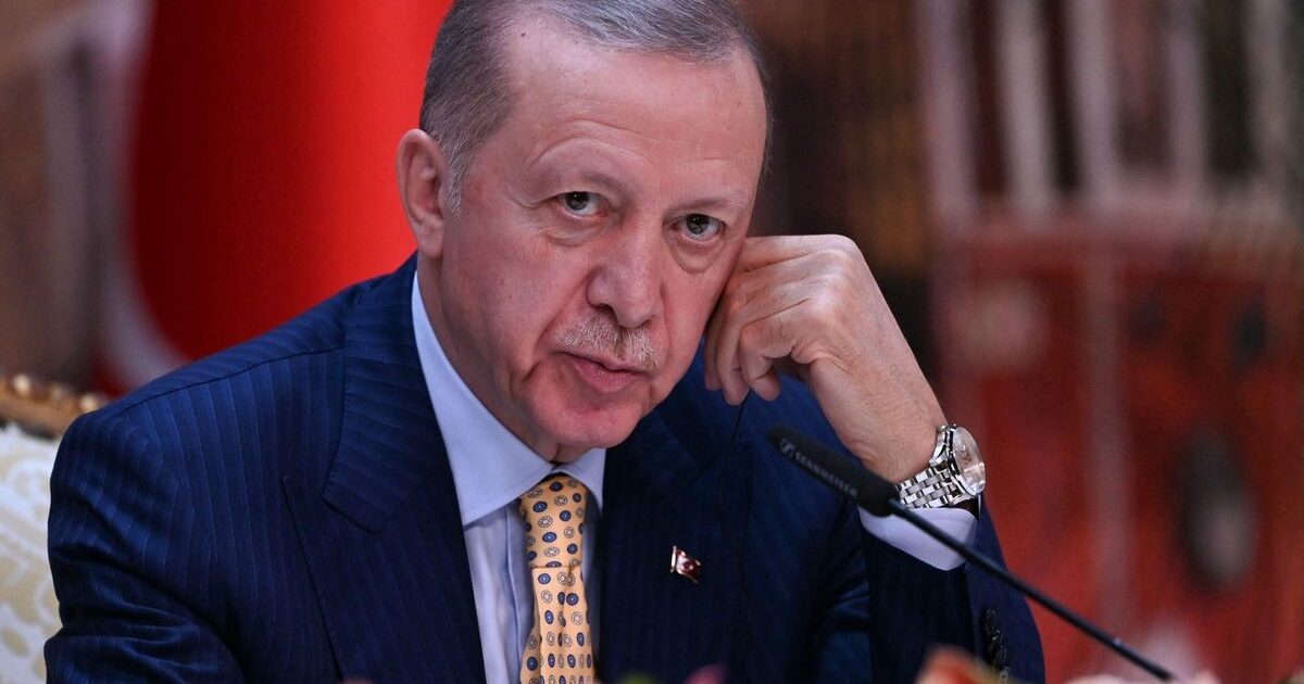 Թուրքիայի նախագահը ստացել է երկրում զորահավաք հայտարարելու բացառիկ լիազորություն