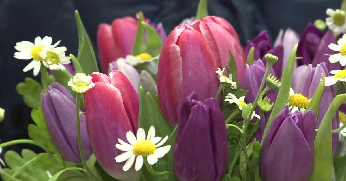 Այս տարի մարտի 8-ին պարգևավճար չեն ստանա․ «Հրապարակ»