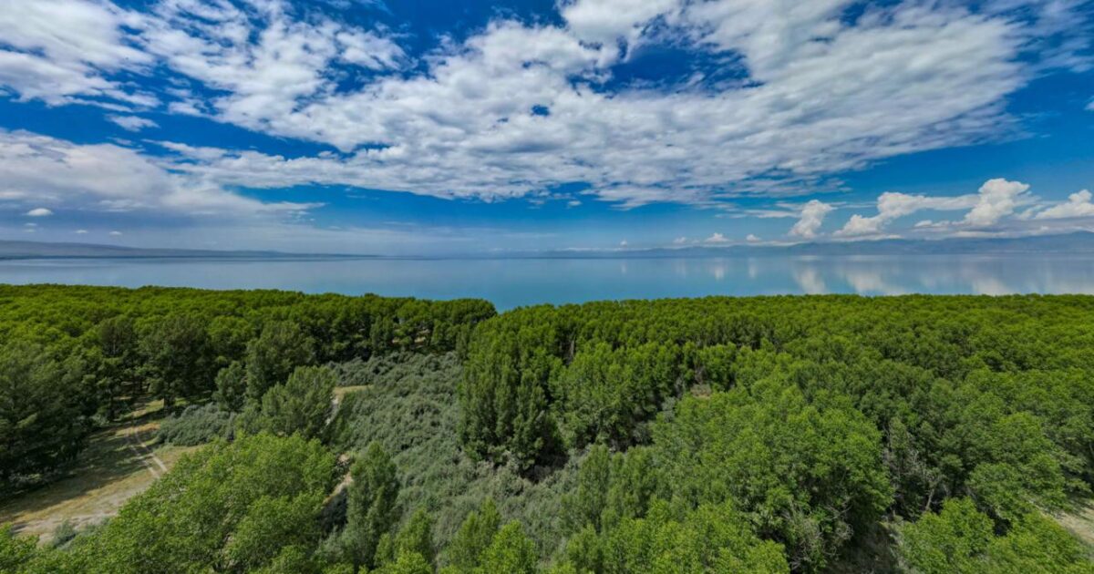 Պլաստիկից մաքրվել է Սևանա լճի 2 կմ երկարությամբ տարածք