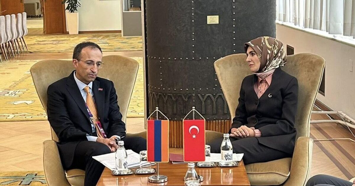 Թորոսյանի հետ հանդիպում ունեցած թուրք նախարարը երդվյալ ու սկզբունքային հակաhայերից մեկն է․ Գեղամյան