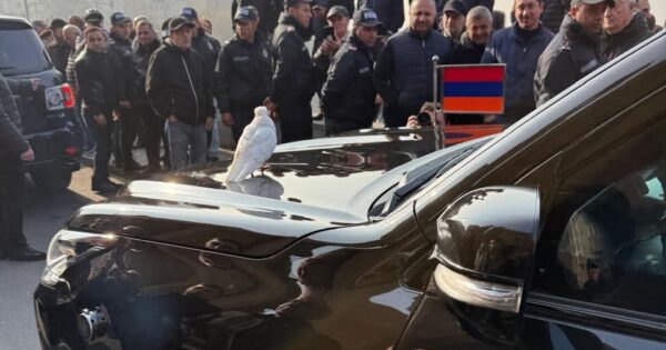 Որտեղի՞ց են վերցրել «աղավնի» տեխնոլոգիան. «Փաստ»