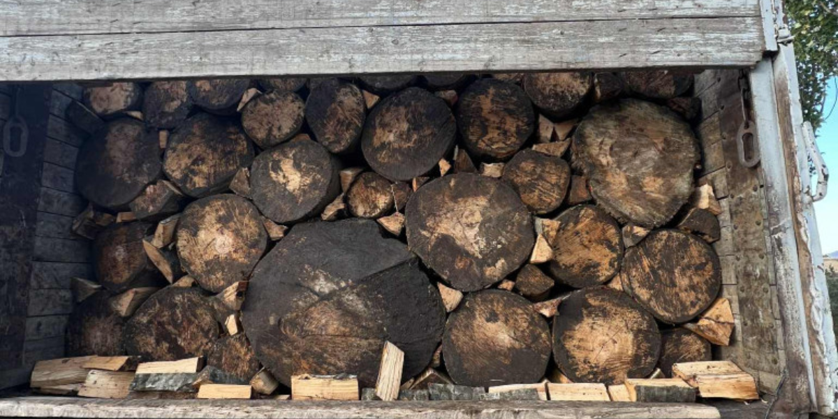 4000 խմ փայտանյութով 280 մլն դրամի վնաս են հասցրել. դատախազը քնեցնում է գործը. «Ժողովուրդ»