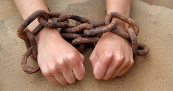 Հանրային քննարկման է ներկայացվել մարդկանց թրաֆիքինգի և շահագործման դեմ պայքարի կազմակերպման ազգային ծրագիրը. «Փաստ»