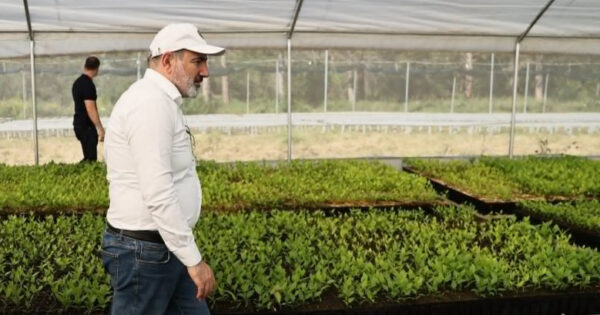 Խոստումների «բերքահավաքը». ինչպես է իշխանությունը հերթական անգամ լքում գյուղացուն տնտեսական քաոսի նախաշեմին. «Փաստ»