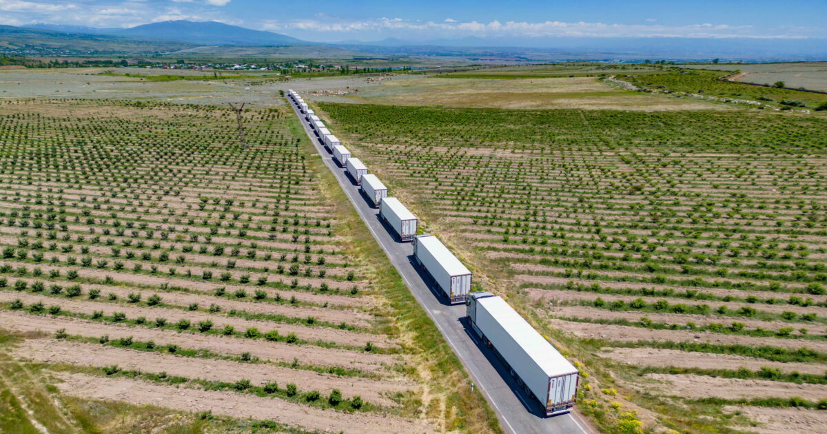 Հայկական լոլիկը կարտահանվի Եվրոպա