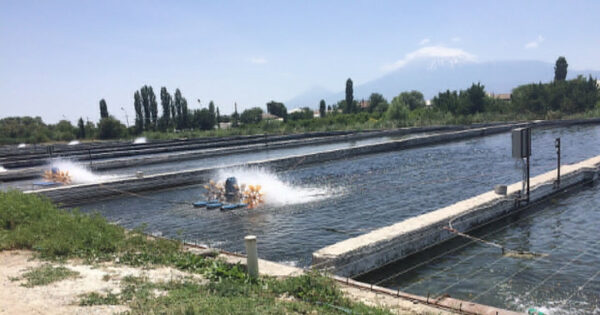 Մյուսները՝ հե՞չ. «Փաստ»