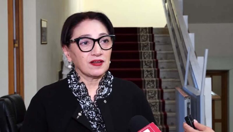 «Անընդունելի է Արցախի էջը փակված համարելը»․ Լիլիթ Գալստյանը քննադատել է ՔՊ-ի պաշտոնական քաղաքականությունը